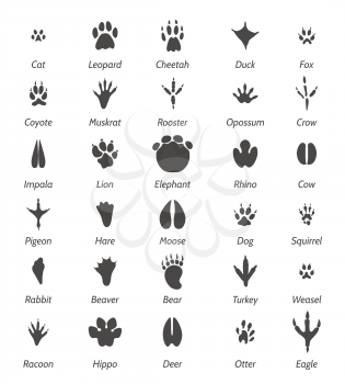 Animal tracks and bird footprints. Black vector icons and signs