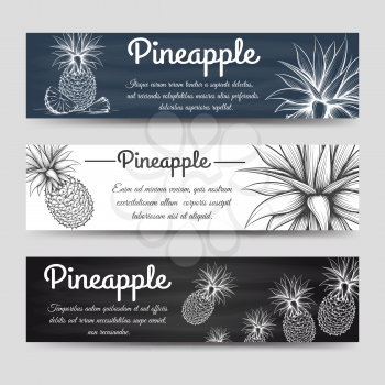 Horizontal banners template vector. Banners with exotic fruit pineapple