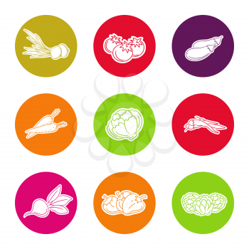 Line vegetable icon set in colorful curcles vector illustration