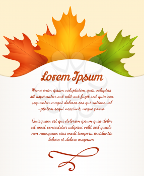 Autumn leaves poster. Vector leaves card with text
