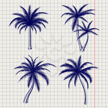 Palm sketches in ball pen imitation style on notebook page. Vector illustration