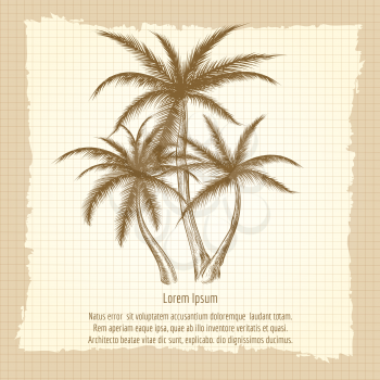 Vintage poster with palm tree on notebook page. Vector illustration