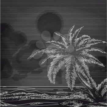 Chalk palm tree and ocean front sketch on chalkboard vector
