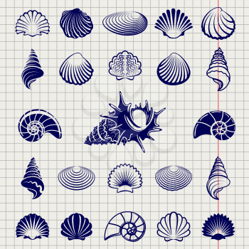 Sketch of sea shells vector illustration. Sea shell silhouettes set on notebook page