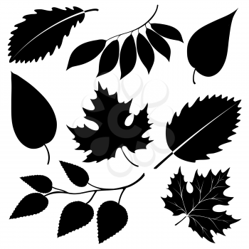 Black leaves silhouettes isolated on white. Vector illustration