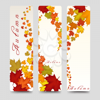 Bookmarks vector template with colorful autumn maple leaves