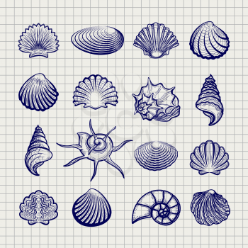 Ball pen sketch sea shells on notebook background vector