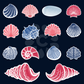 Colorful sea shells set - sketched shells collection vector