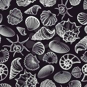 Black and white seamless pattern with sea shells vector