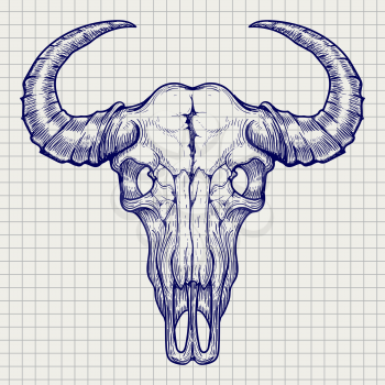 Ball pen buffalo skull sketch vector on notebook page