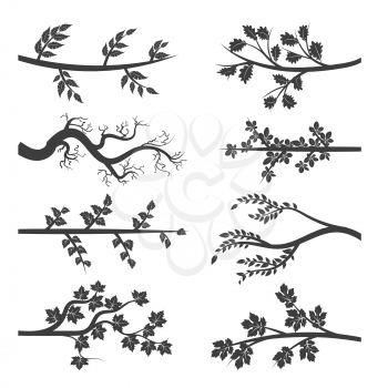 Tree branches with leaves silhouette isolated on white background. Vector illustration