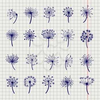 Ball pen dandelion sketch collection. Dandelion and seeds on notebook page vector illustration
