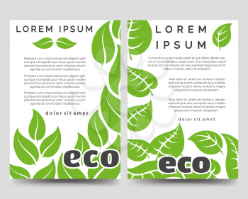 Eco brochure flyers template with green leaves design. Vector illustration