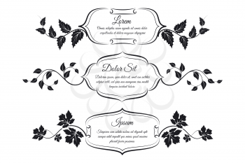 Hand drawn vintage frames with floral elements isolated on white background. Vector illustration