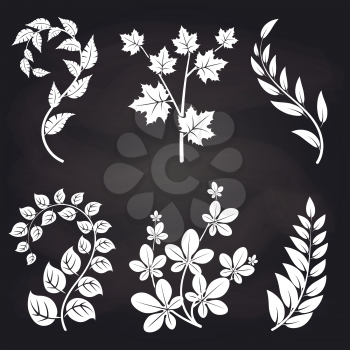 Decorative floral branches on blackboard background vector illustration