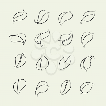 Outline sketch leaf set. Vector eco leaves pictograms