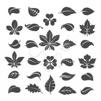 Tree leaves silhouettes. Vector leaf set isolated on white background