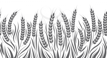 Harvest horizontal pattern vector illustration. Wheat, rye or barley field isolated on white background