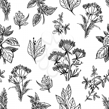 Sketch herbs and flowers hand drawn vector seamless pattern