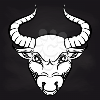 Hand drawn white bulls head on blackboard background. Vector illustration