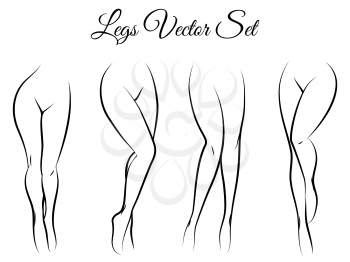 Woman legs vector set. Hand drawn woman legs isolated on white background