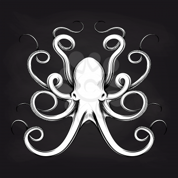 Black and white octopus sketch design on blackboard background. Vector illustration