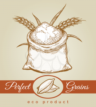 Eco grains product. Hand drawn sack full of grain or flour and bunche of wheat ears sketch vector illustration