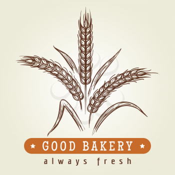 Good bakery hand drawn logo. Drawing sketch wheat ears retro emblem, vector illustration