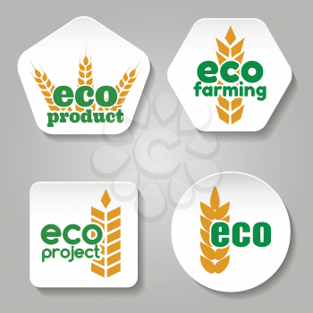 Ear of wheat labels templates. Eco grain product logo or badge vector set