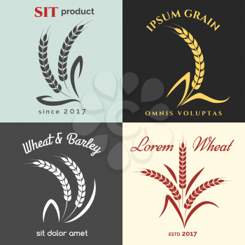 Ears of wheat logo set for bakery. Premium quality grains product labels vector illustration