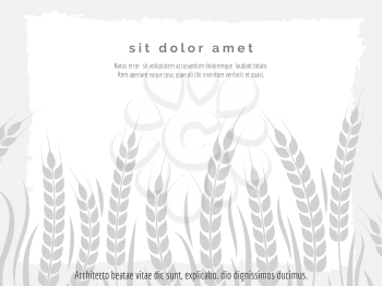 Horizontal agriculture poster with wheat branches vector illustration. Stylish monochromic harvest background