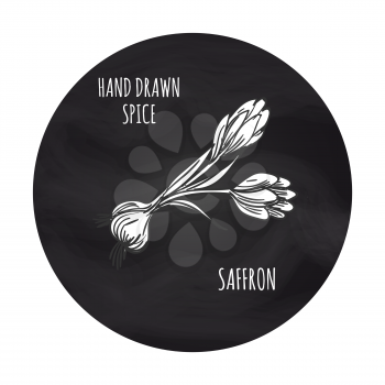 Hand drawn spice saffron in blackboard round. Vector saffron sketch icon design