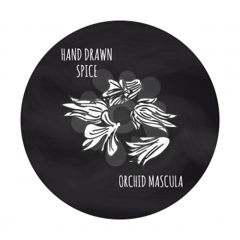 Hand drawn spice vector ilustration. Black and white orchid mascula icon on blackboard backdrop