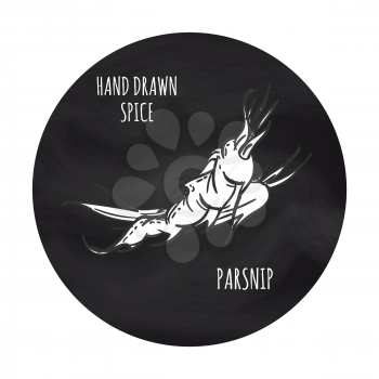 Hand drawn spice vector illustration. Black and white parsnip icon on blakboard backdrop