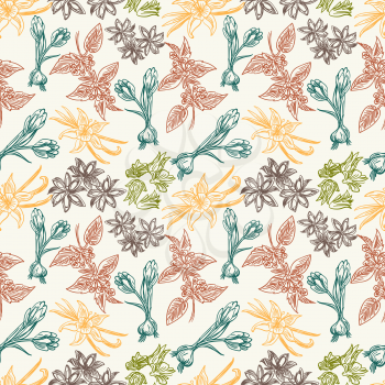 Colorful vintage seamless pattern with hand drawn spice herbs, vector illustration