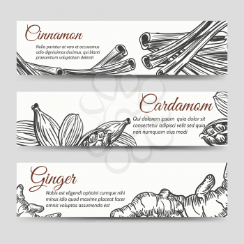 Cookery banners template with hand drawn spices for ginger bread. Vector illustration
