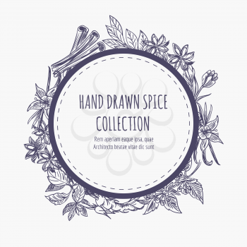 Hand drawn spice collection round banner or frame design. Kitchen dcorative element vector illustration