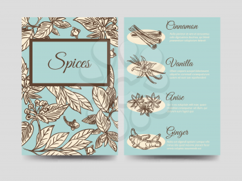 Popular hand drawn spice flyers template, vector illustration