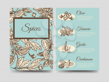 Popular hand drawn spice vintage flyers template, vector illustration. Front and rear sides template