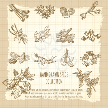 Vintage kitchen poster with hand drawn spice collection. Vector illustration