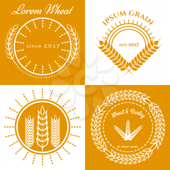 Grain ears concept logo design collection. Vector illustration
