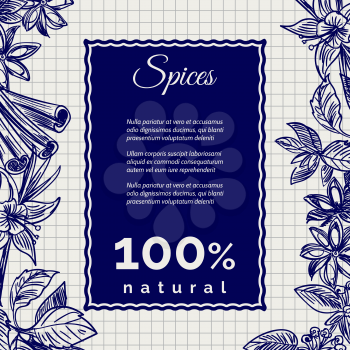 Hand drawn spices banner on notebook page. Vector ballpoint pen drawing imitation