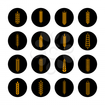 Harvest icons set. Vector golden grain ears on black rounds collection