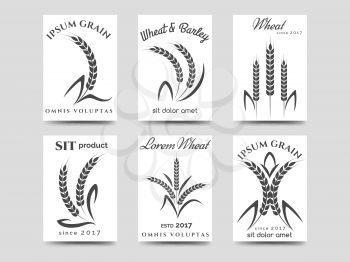 Grain products cards design. Vector monochromic harvest logo isolated on white