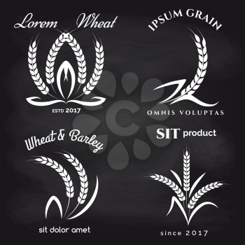 Grains product label on chalkboard design. Vector illustration