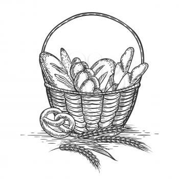 Sketch of wheat bakery basket isolated on white background. Vector illustration