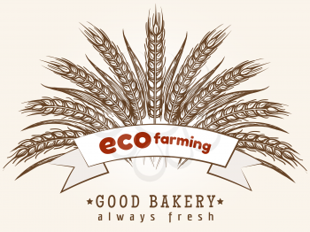 Eco farming emblem. Vector hand drawn wheat ears, ribbon and lettering sign