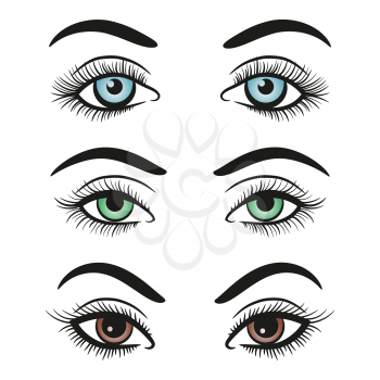 Basic colors female eyes and brows isolated on white background. Vector illustration