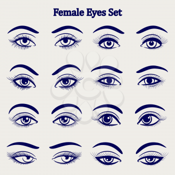Ballpoint pen drawing female eyes set isolated on grey backdrop. Vector illustration