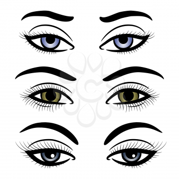 Colorful female eyes and brows isolated on white background. Vector illustration
